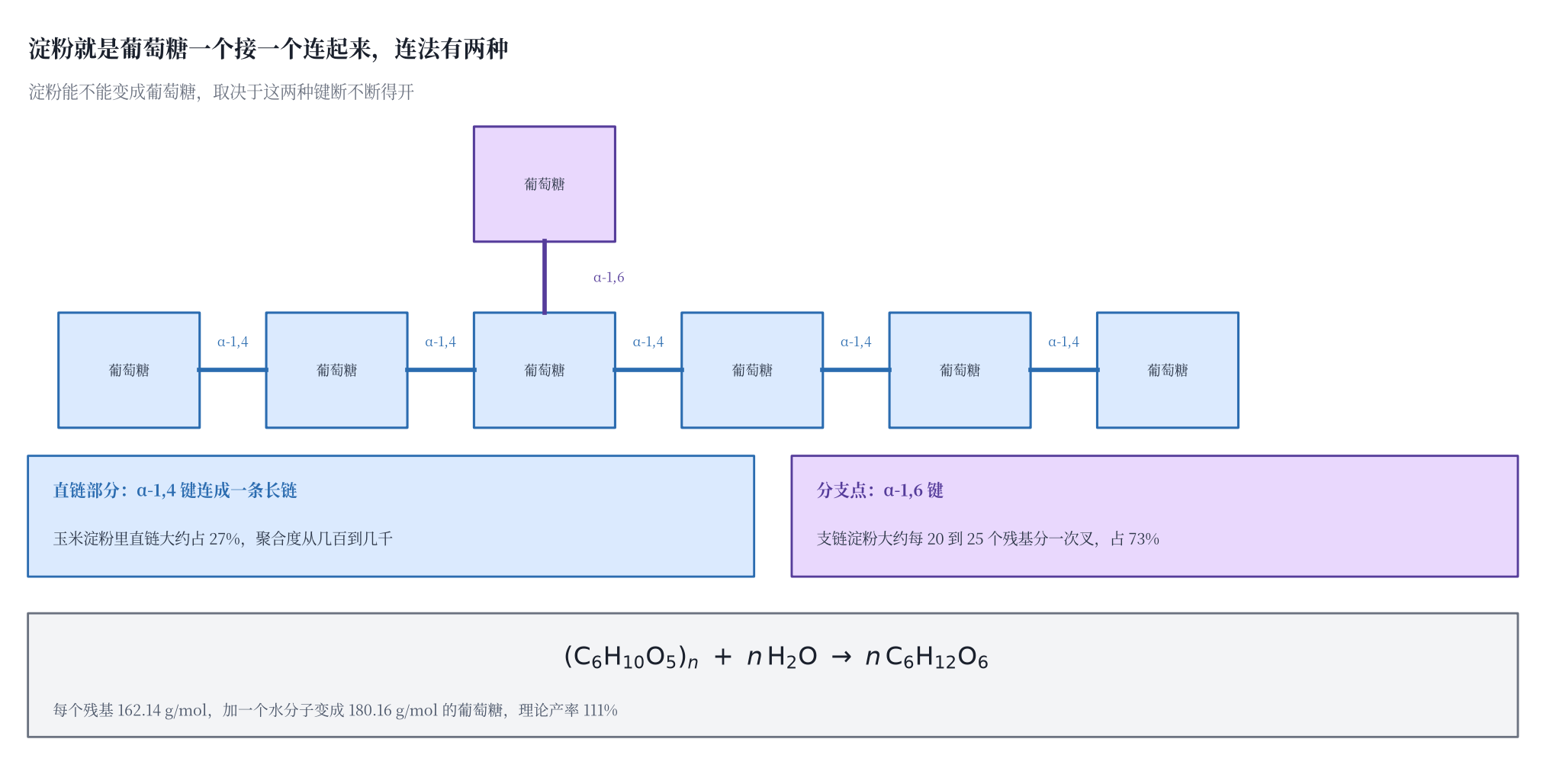 图一 淀粉的两种糖苷键